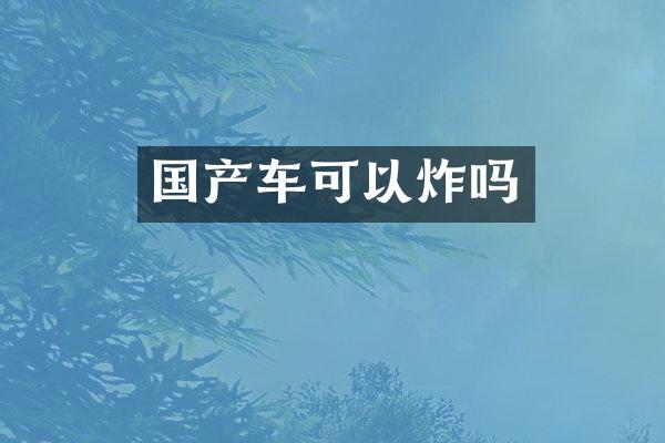 国产车可以炸吗