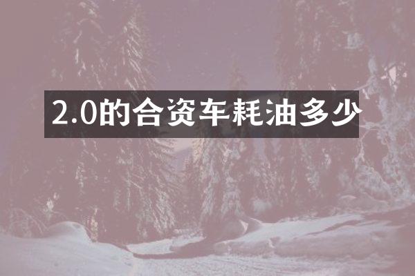 2.0的合资车耗油多少