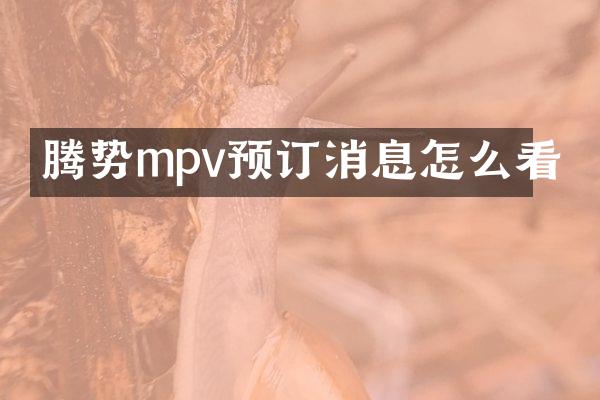 腾势mpv预订消息怎么看