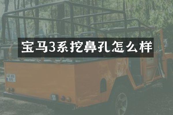 宝马3系挖鼻孔怎么样