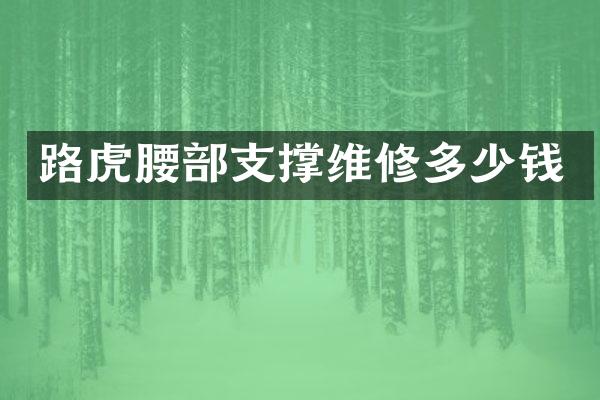 路虎腰部支撑维修多少钱