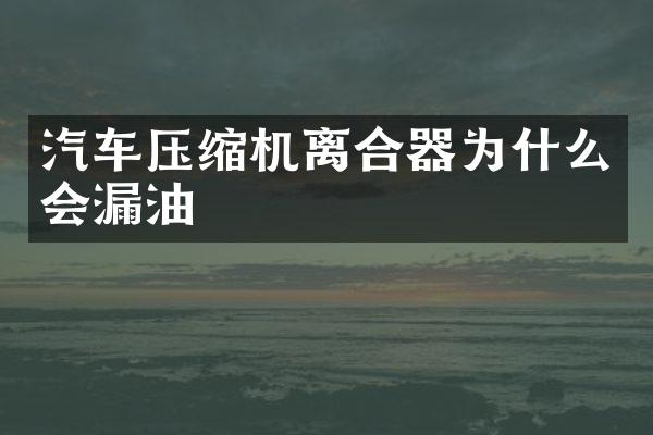 汽车压缩机离合器为什么会漏油