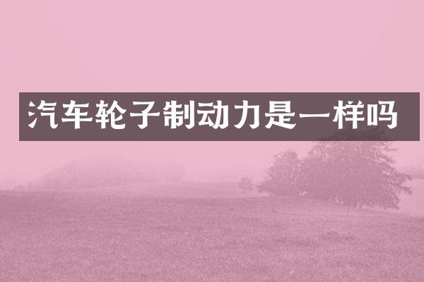 汽车轮子制动力是一样吗