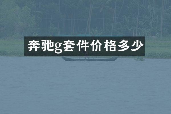 奔驰g套件价格多少