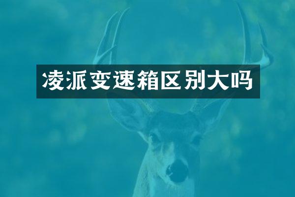 凌派变速箱区别大吗