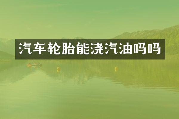 汽车轮胎能浇汽油吗吗