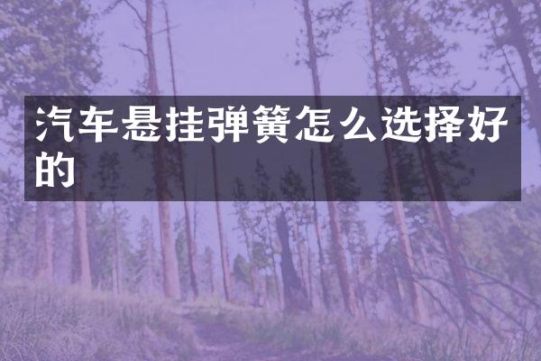 汽车悬挂弹簧怎么选择好的