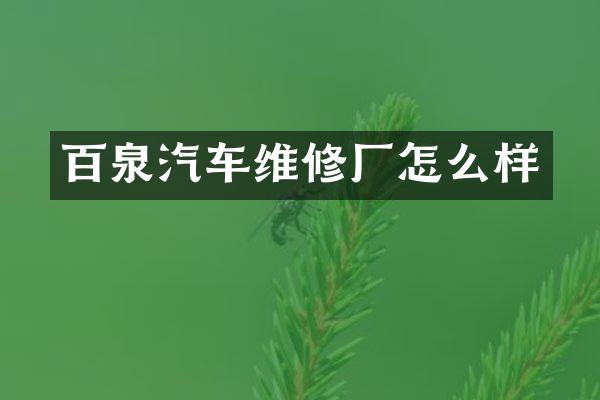 百泉汽车维修厂怎么样