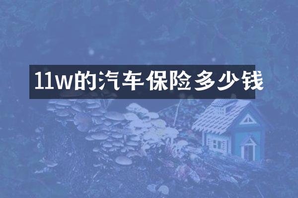 11w的汽车保险多少钱