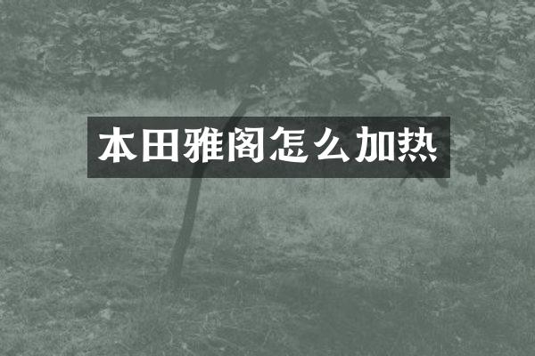 本田雅阁怎么加热