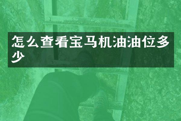 怎么查看宝马机油油位多少