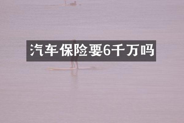 汽车保险要6千万吗