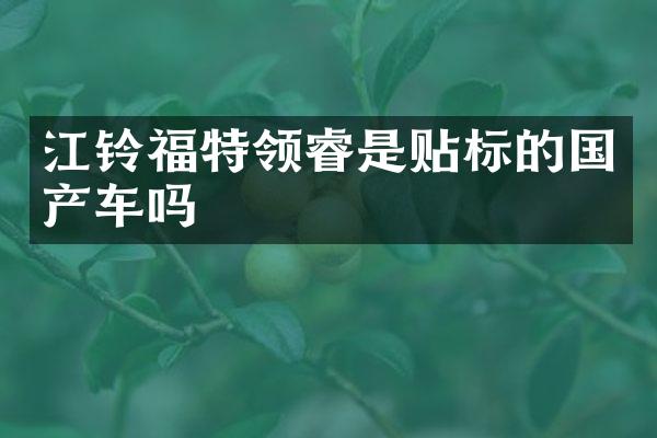 江铃福特领睿是贴标的国产车吗