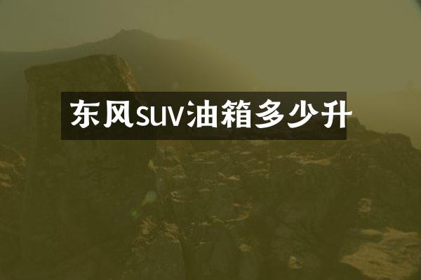 东风suv油箱多少升