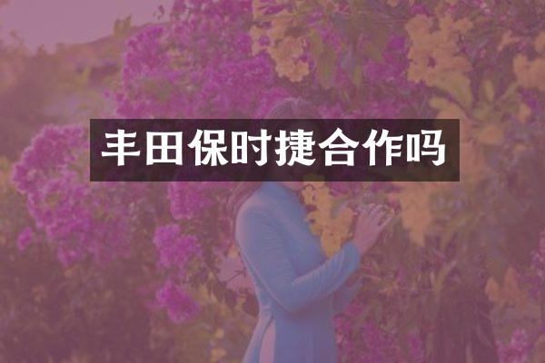 丰田保时捷合作吗