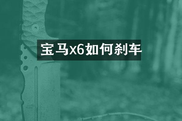 宝马x6如何刹车