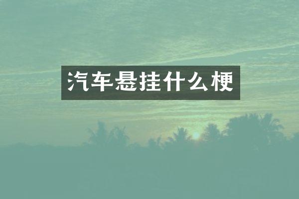 汽车悬挂什么梗