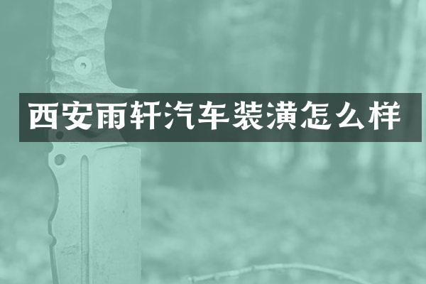 西安雨轩汽车装潢怎么样