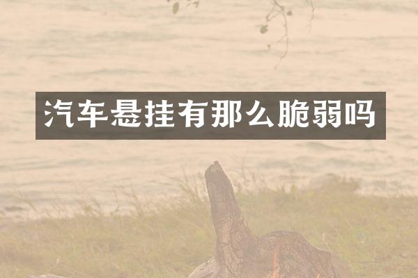 汽车悬挂有那么脆弱吗