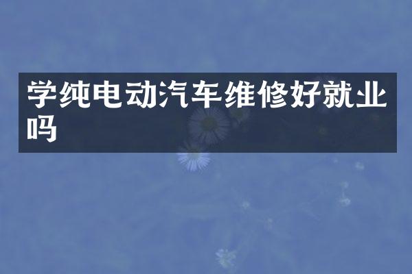 学纯电动汽车维修好就业吗