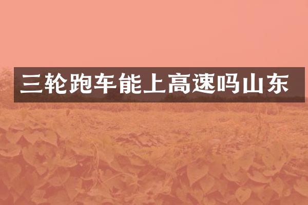 三轮跑车能上高速吗山东