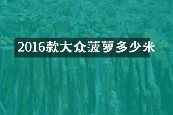 2016款大众菠萝多少米