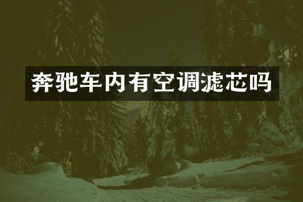 奔驰车内有空调滤芯吗
