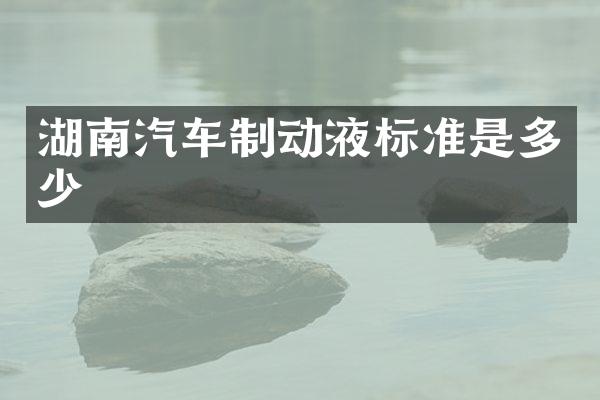 湖南汽车制动液标准是多少