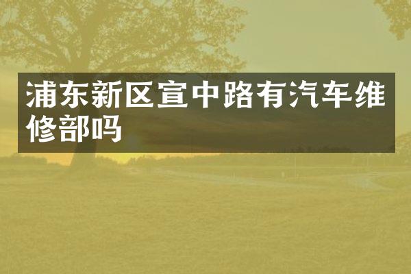 浦东新区宣中路有汽车维修部吗