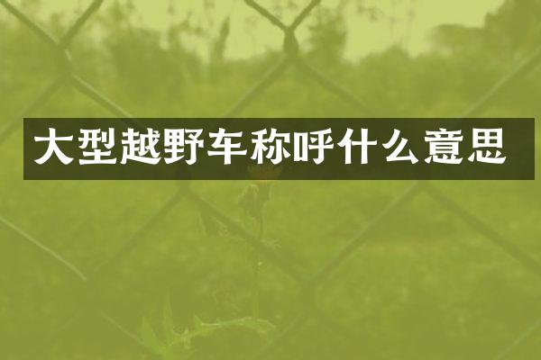 大型越野车称呼什么意思