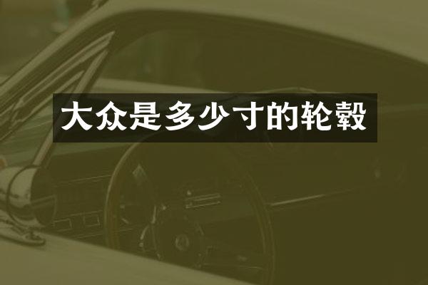 大众是多少寸的轮毂