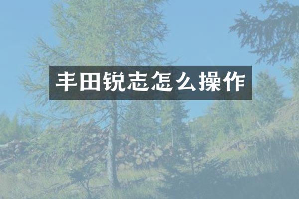 丰田锐志怎么操作