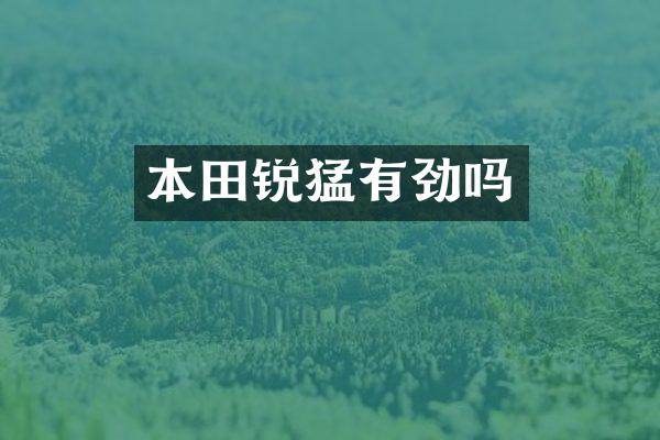 本田锐猛有劲吗