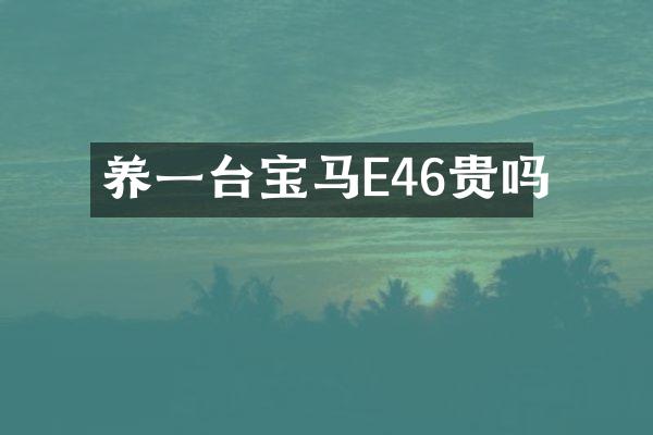 养一台宝马E46贵吗