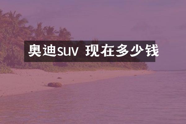 奥迪suv 现在多少钱