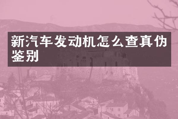 新汽车发动机怎么查真伪鉴别