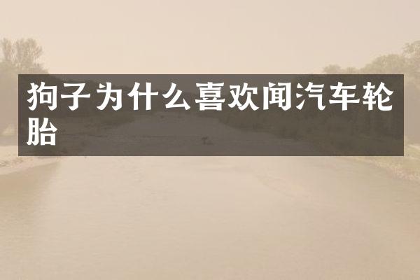 狗子为什么喜欢闻汽车轮胎