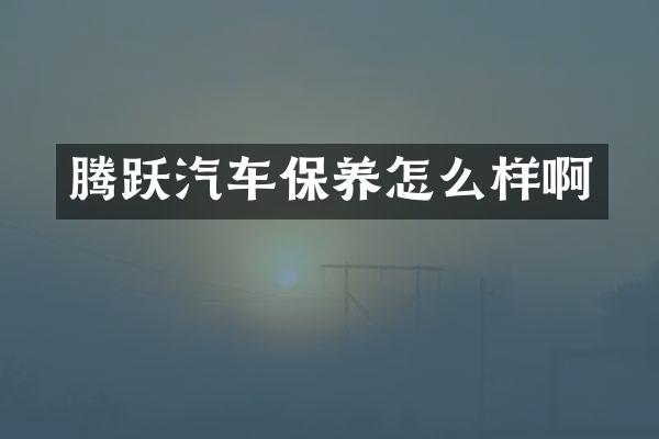 腾跃汽车保养怎么样啊