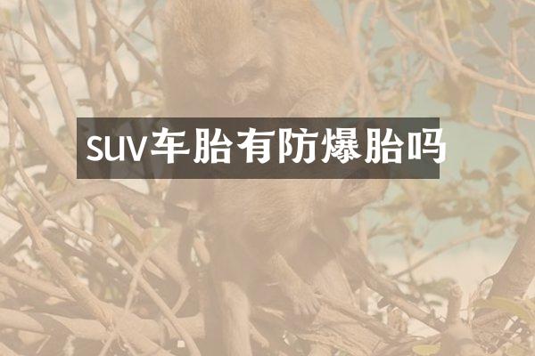 suv车胎有防爆胎吗