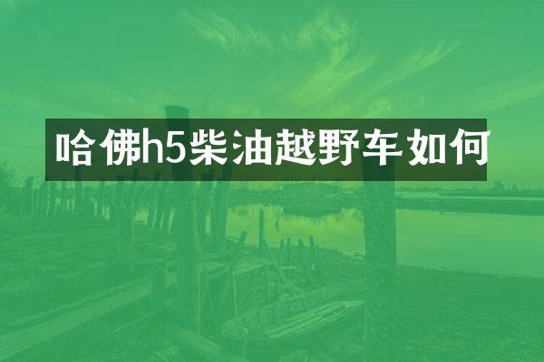 哈佛h5柴油越野车如何