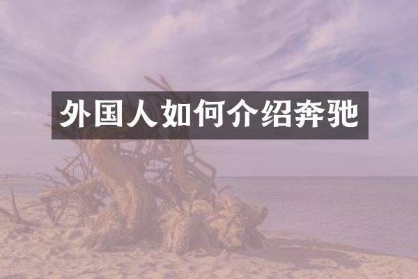 外国人如何介绍奔驰
