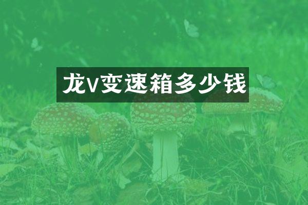 龙v变速箱多少钱