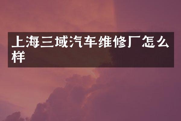 上海三域汽车维修厂怎么样