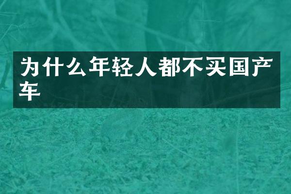 为什么年轻人都不买国产车