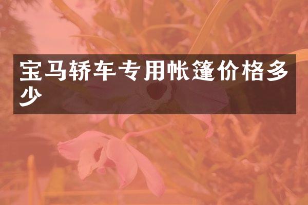 宝马轿车专用帐篷价格多少