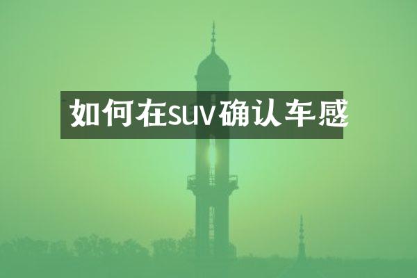 如何在suv确认车感