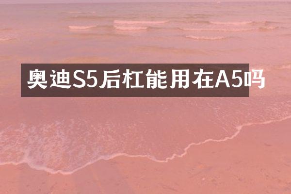 奥迪S5后杠能用在A5吗