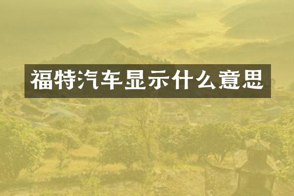 福特汽车显示什么意思