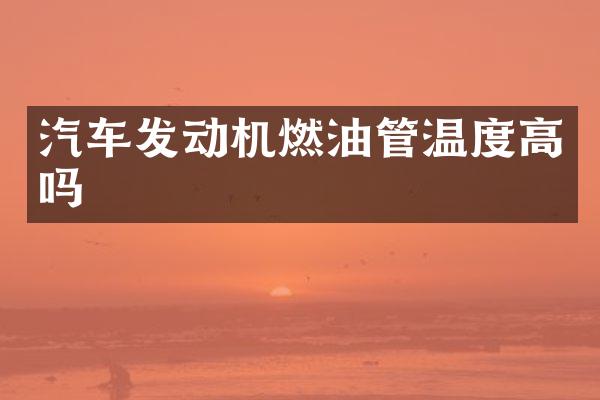 汽车发动机燃油管温度高吗