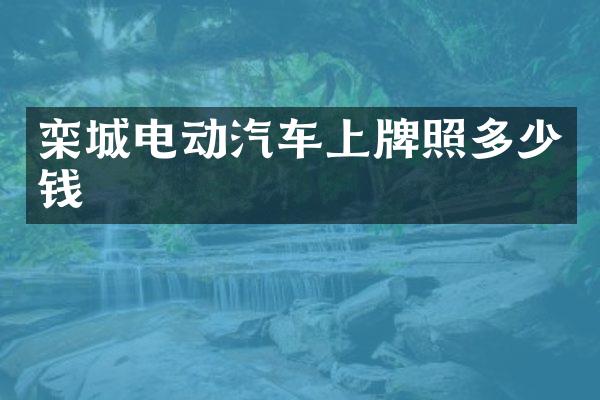 栾城电动汽车上牌照多少钱